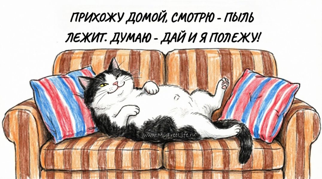 мем: прихожу домой смотрю пыль лежит думаю дай и я полежу - кот на диване