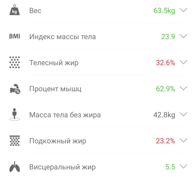 Умные весы 63 кг параметры